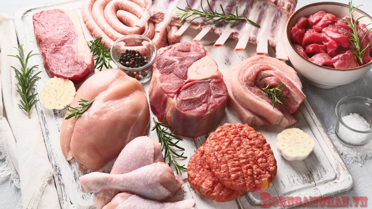 Bệnh Gout Được Ăn Thịt Gì ?